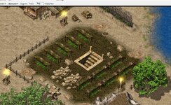dig spot.jpg