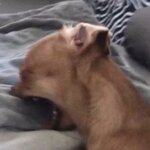 IMG_9410.jpeg