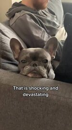 IMG_1116.jpeg