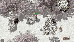 1766402248103.png 1766402248103.png
