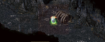 KumaF1.png