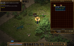 Image 12.png