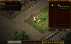 Image 13.png