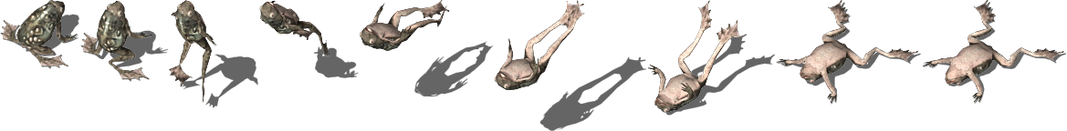 die_1_0.png