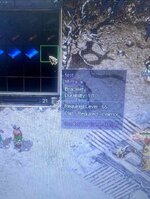 IMG_8350.jpeg