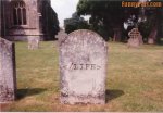 FunnyPart-com-webmasters_death.jpg