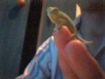 Picture 003.jpg
