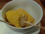 DSC00062.JPG