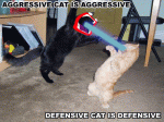 1163756961329ec1.gif