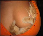 newfirefox.jpg