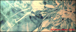 shab.png