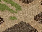 nodetail.JPG
