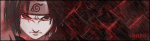 ssig copy.gif