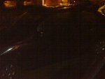 DSC00247.JPG