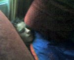 barbarasleep.jpg