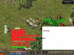 tse.JPG