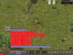 end.JPG