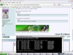cmd.JPG
