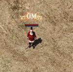 gm2.jpg