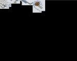 New Map.JPG