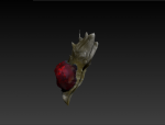 dinoplateside.png
