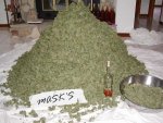 MASKS.jpg