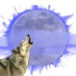logo.png logo.png