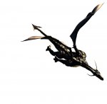 dragon_image.jpg