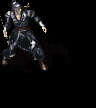 ninja.gif