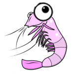 bigeyedshrimp.png