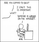 Someoneiswrongontheinternet.jpg