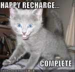 crazyrunninggirl_happy-cat.jpg