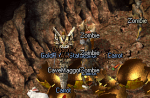 XpgJ53x.png