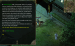 New Player Guild.png