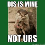 Otter-meme-dis-is-mine.jpg