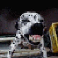 GamerssLobars