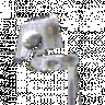 mrjedi