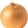 Onion