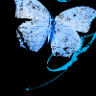 Viola A.I.