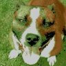 ••••GOODBOY••••