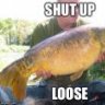 Loosecannon