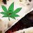 420GM